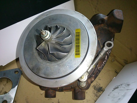 6bx7rluo.jpg
