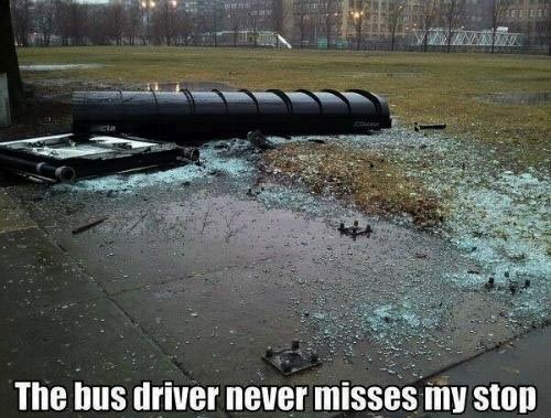 pvj6pbd7.jpg