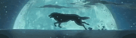 http://fs1.directupload.net/images/150223/mpkmrnur.gif