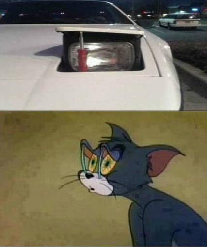 tb65ig7z.jpg