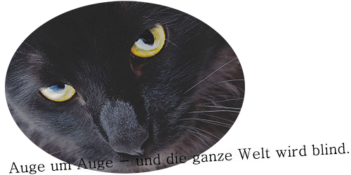 Eine Rose verschenken Yxv8ktgs