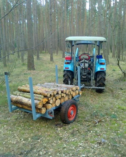 Alles rund um die Motorsäge: www.motorsaegen-portal.de • Im Forst mit