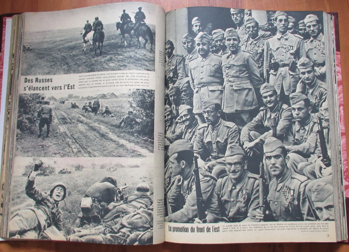 Kostenlos Bilder und Fotos hochladen t84zmszl.jpg