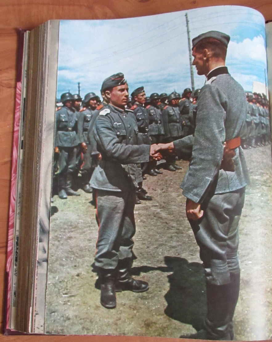 Kostenlos Bilder und Fotos hochladen y4l4uyvp.jpg