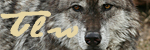 The Loner Wolf Urptnri8