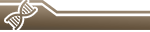 DNS-Strang DNS-Strang