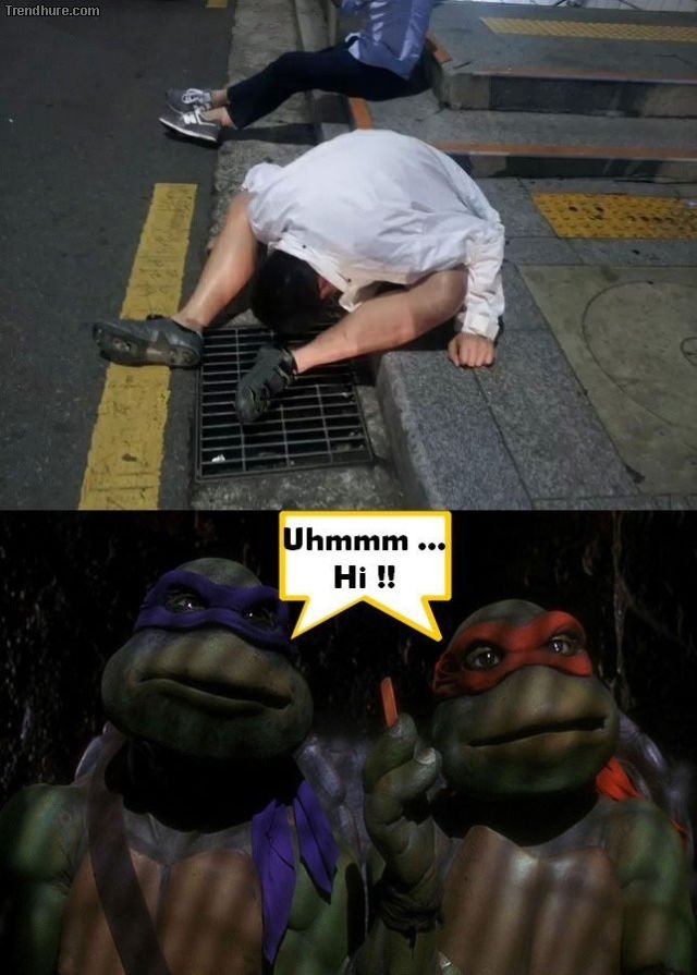vzcrkf7x.jpg