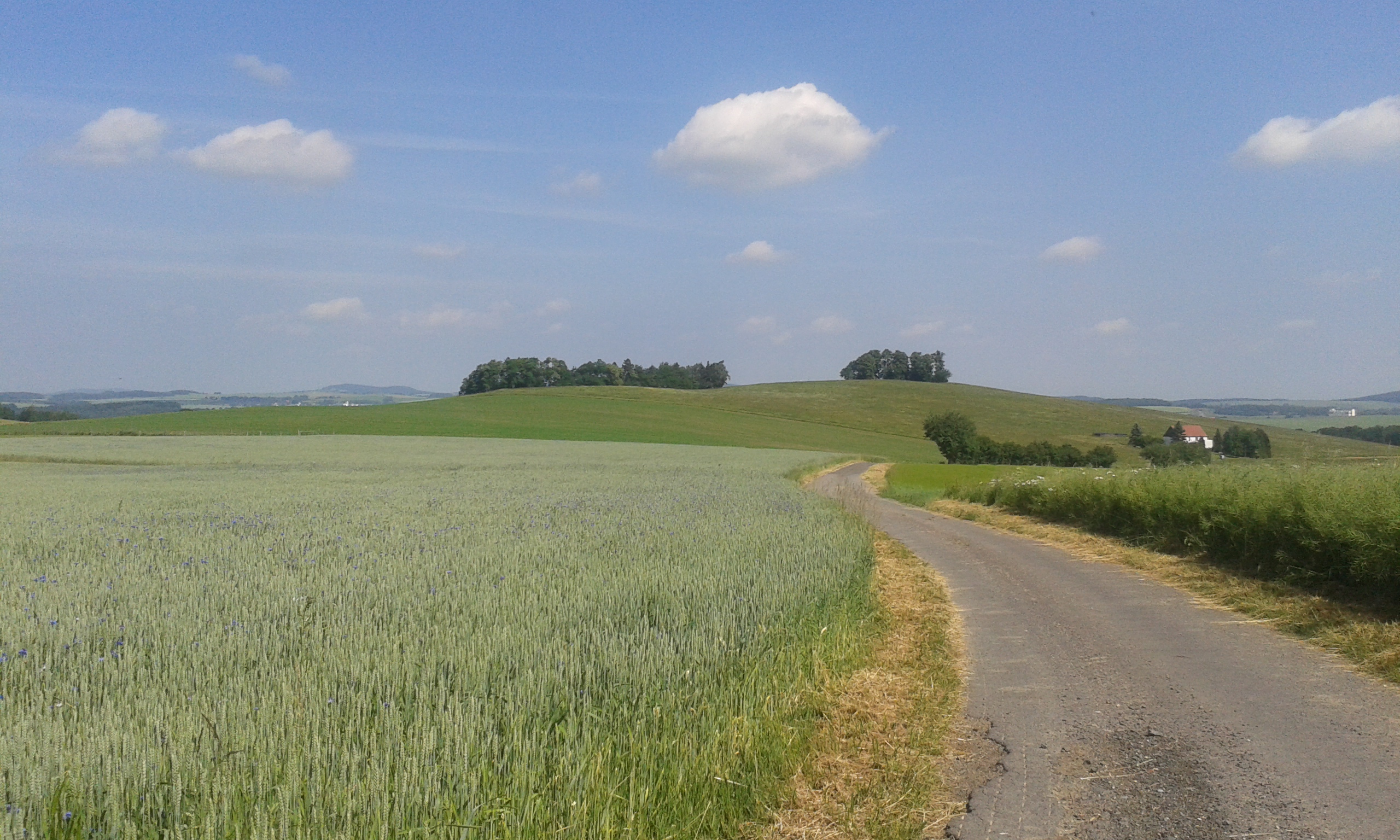 Zum Vergrößern/Verkleinern anklicken http://fs1.directupload.net/images/150615/2kvxeyzh.jpg