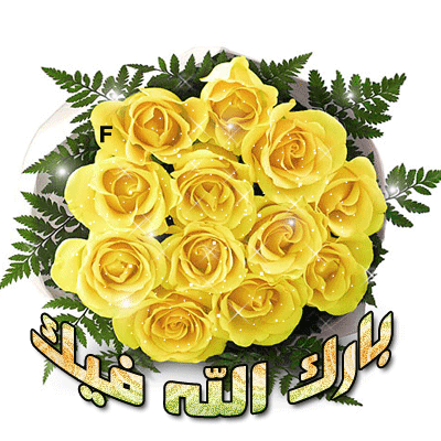 8ahi7l9p.gif