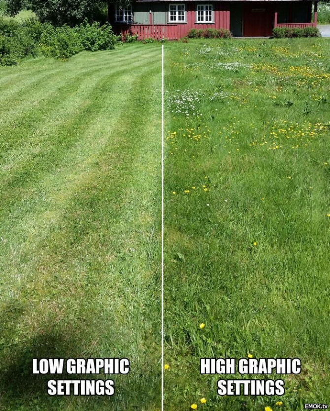 ryxl6wf8.jpg