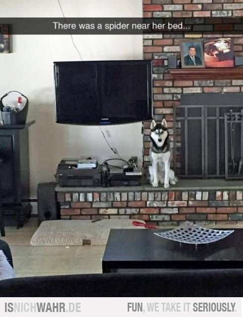 d897qrfa.jpg