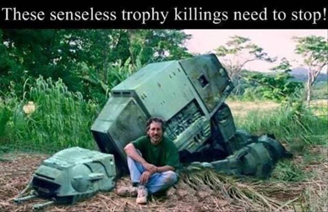 xd7iq6gi.jpg