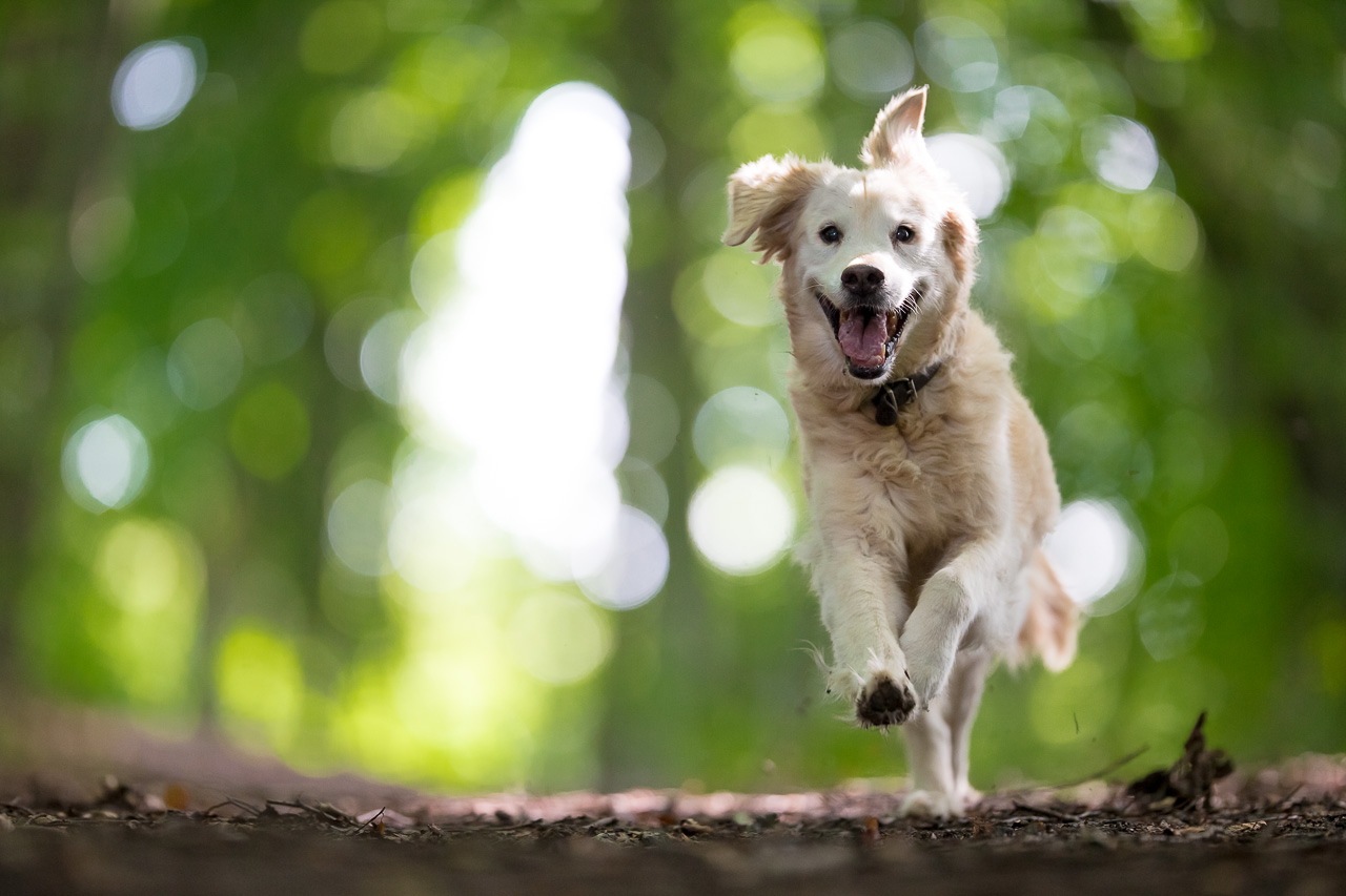 IMAGE: http://fs1.directupload.net/images/150829/b6toncrb.jpg