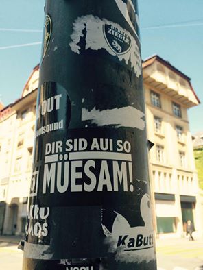Bild