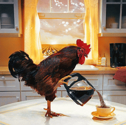http://fs1.directupload.net/images/150914/id5gi3ub.gif