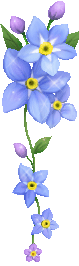 sn5ernfb.gif