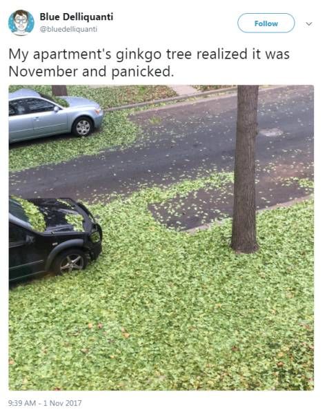 eowixntm.jpg