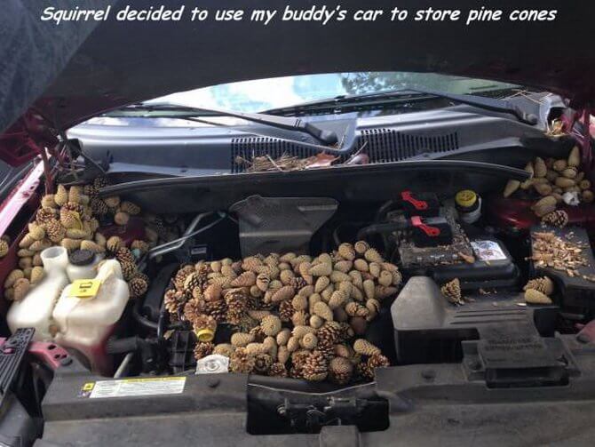 dqd74ydy.jpg