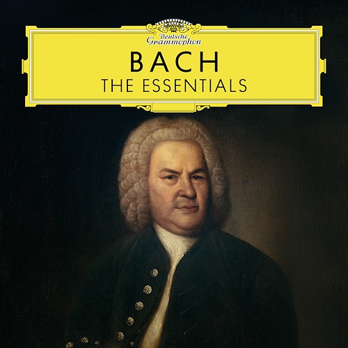 gjogoi62.jpg