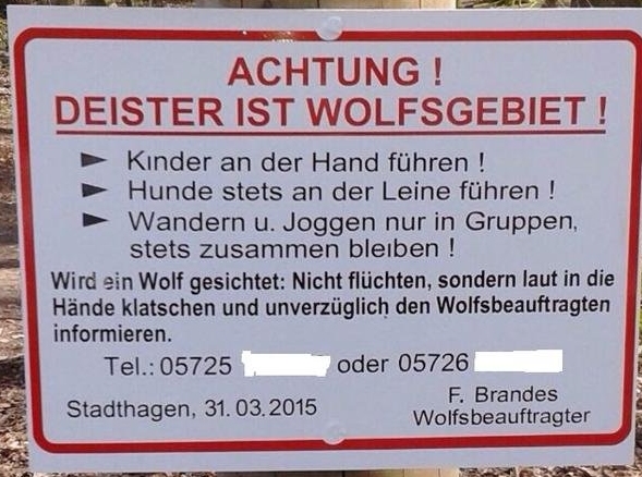 Bild