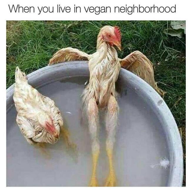 3pgesc7w.jpg