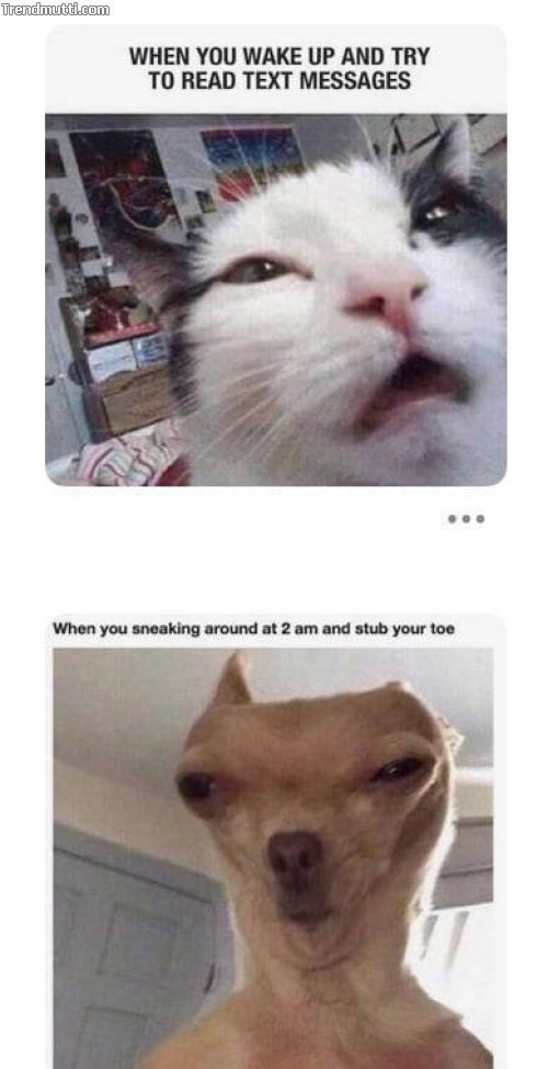 jwkcjccc.jpg