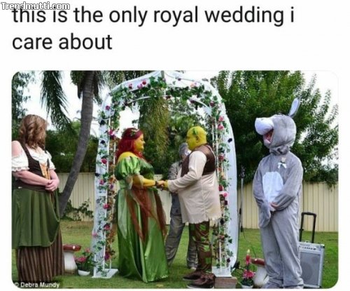 a75btbzn.jpg