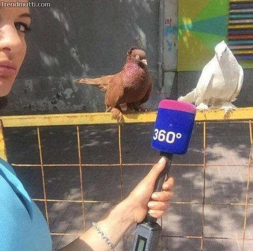 eyp6egno.jpg