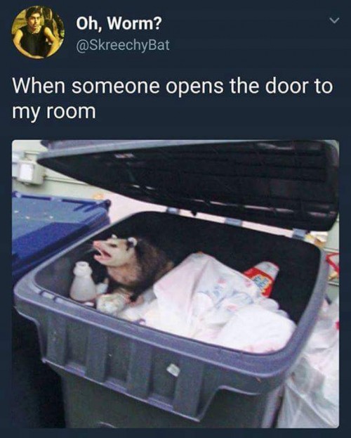 c8m5ayzt.jpg