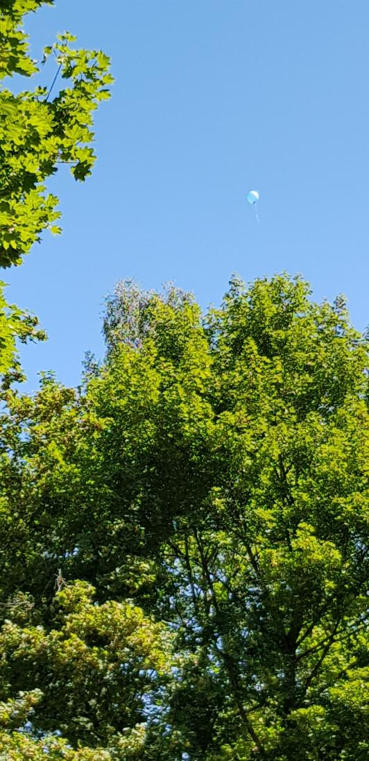 Image: http://fs1.directupload.net/images/180709/wcvtea3x.jpg