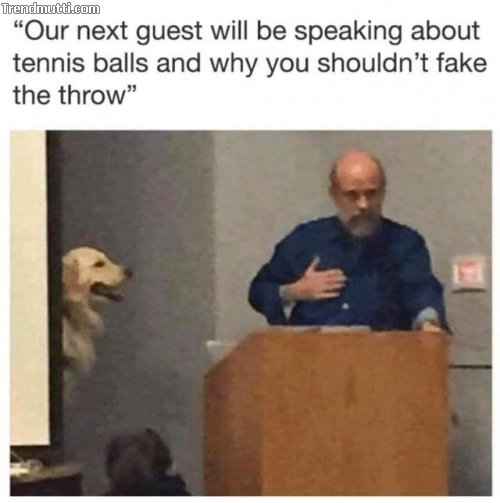 3wsf5lop.jpg