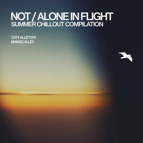 Not / Alone In Flight (2018)