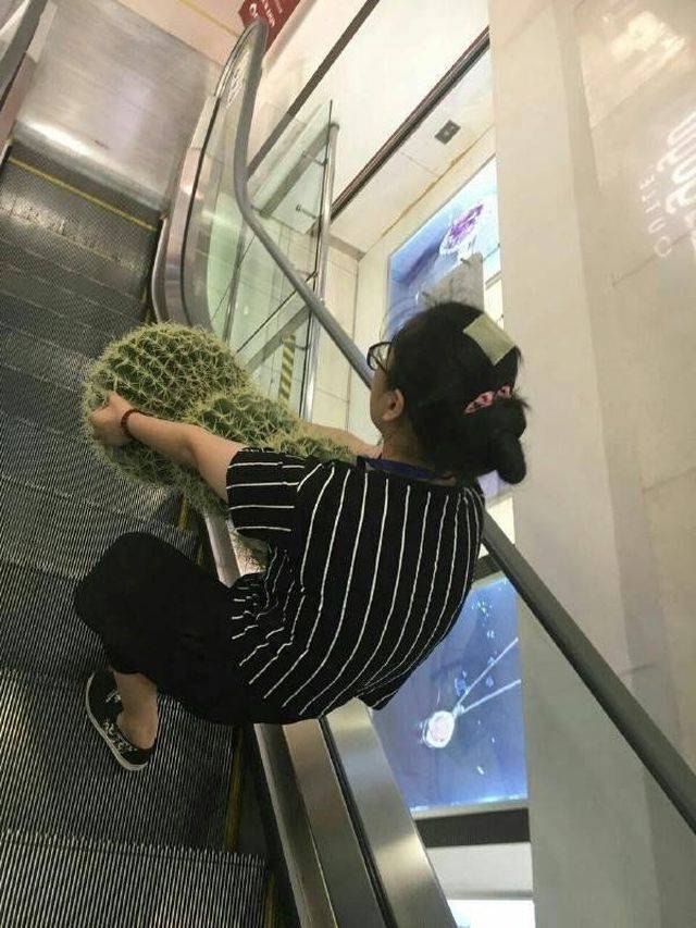 za8cwdoe.jpg