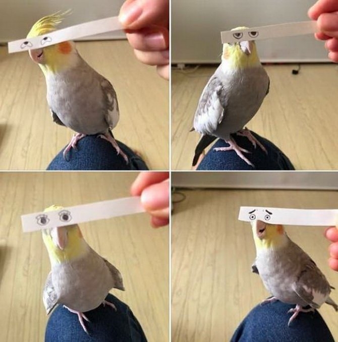 grdfxl8q.jpg