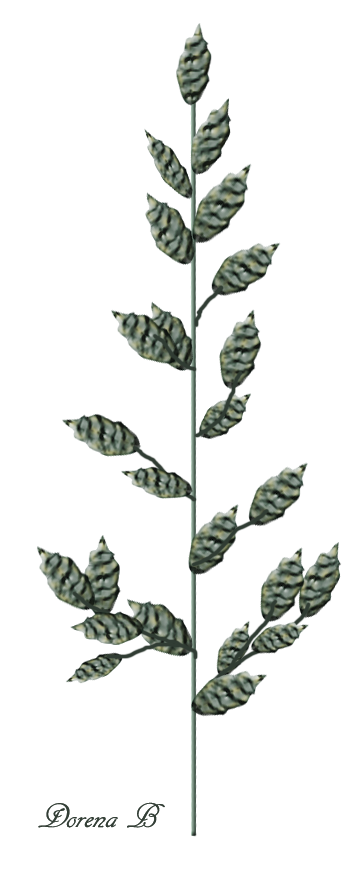 [Bild: 6gg6j6jt.png]