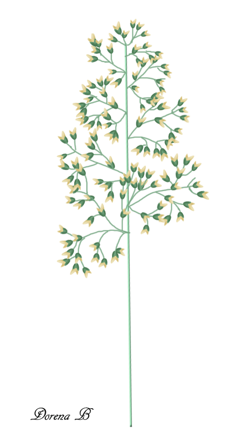 [Bild: uygyyat7.png]