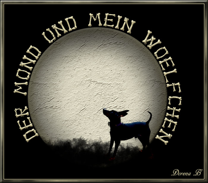 [Bild: hwpxamir.jpg]