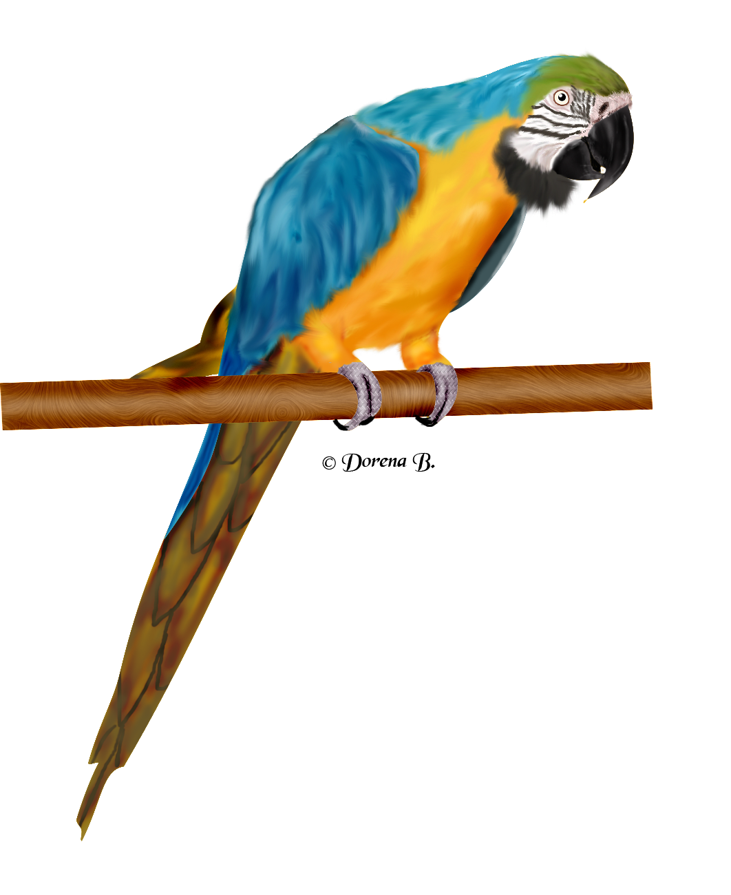 [Bild: 68vkbtnv.png]