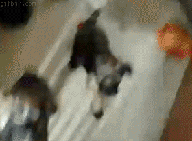 4ig6orap.gif