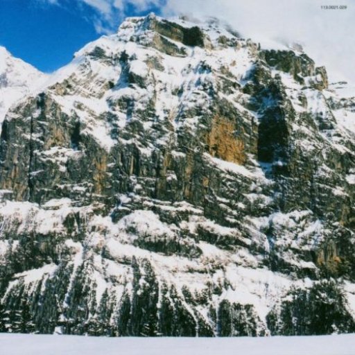 I am not a Doctor Album Art