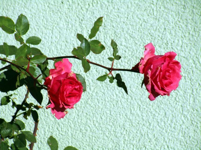 https://fs1.directupload.net/images/180106/9ojavw2r.jpg