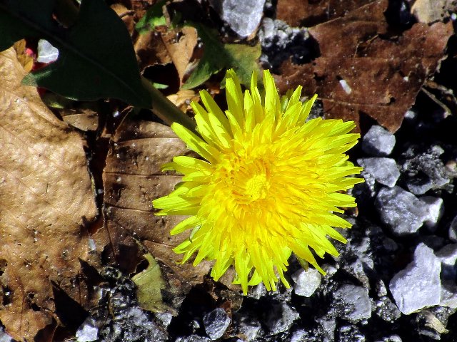 https://fs1.directupload.net/images/180106/v74knr8t.jpg