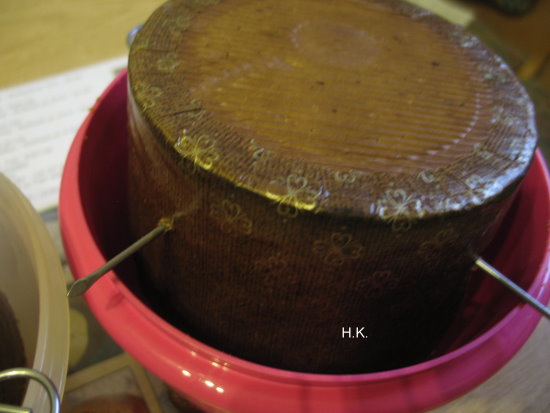 Panettone