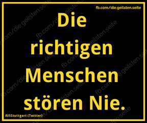 8bruoqgr.webp