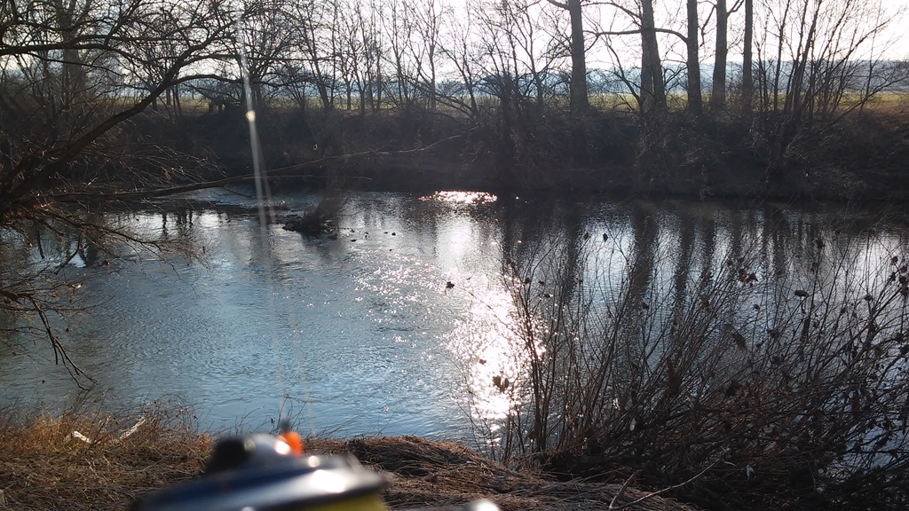 Neckar Altarm