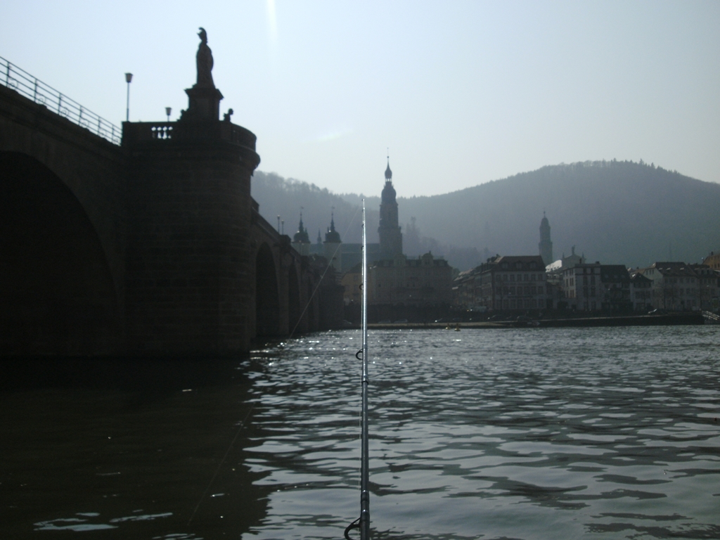 Neckar Heidelberg