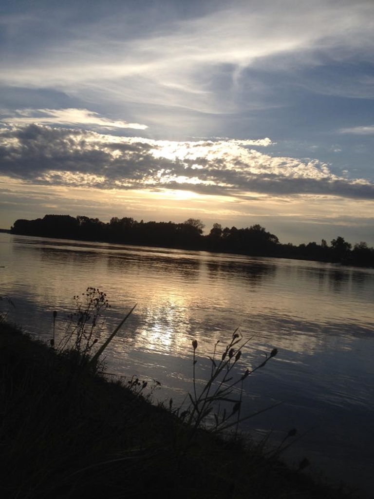 Rhein