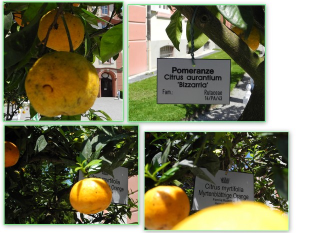 https://fs1.directupload.net/images/user/150622/umoldrre.jpg