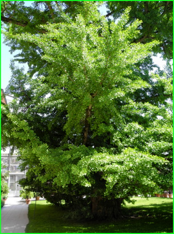 https://fs1.directupload.net/images/user/150627/myzbxep3.jpg