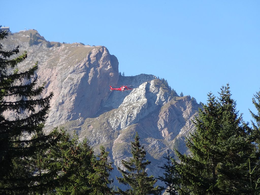 REGA im einsatz